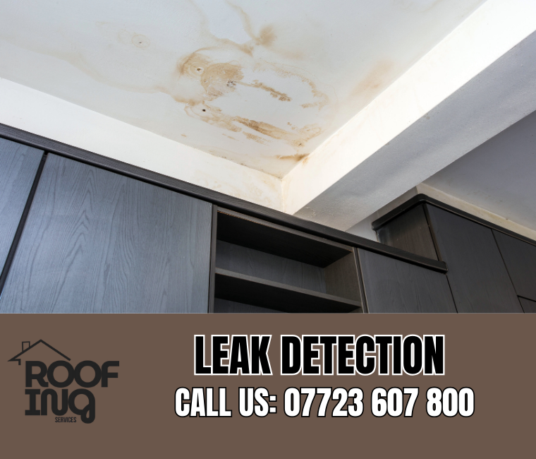 Roof leak detection and repair in Honiton
