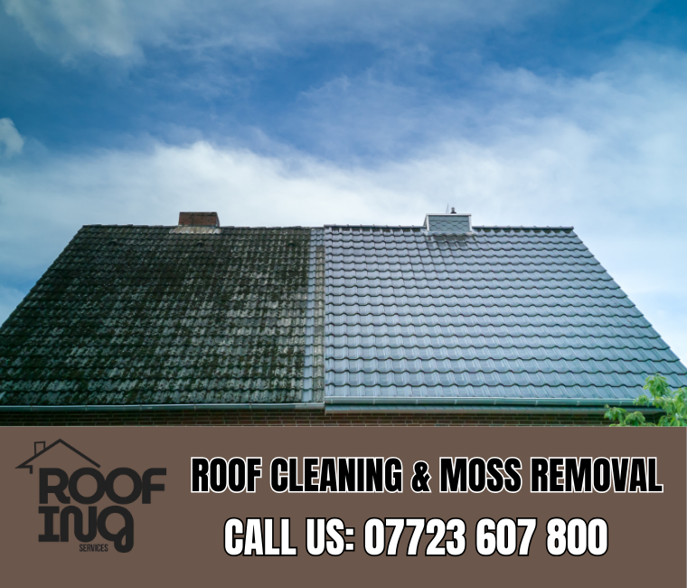Roof cleaning and moss removal in Honiton